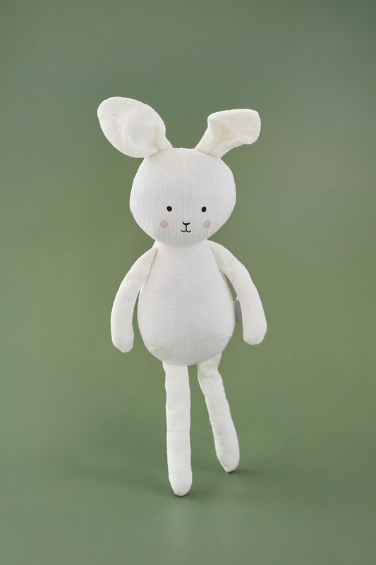 Lepurushi Mik- Shoku më i Mirë për Përqafim