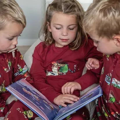 Pettson and Findus Two piece pyjamas - Dark Red