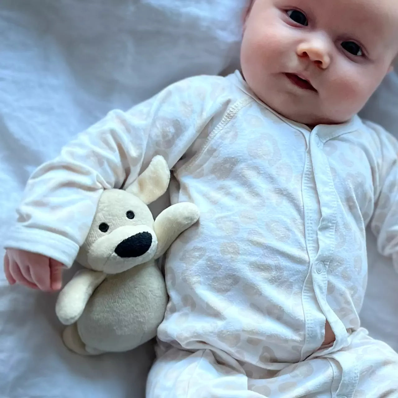 Soft toy Beige doddi