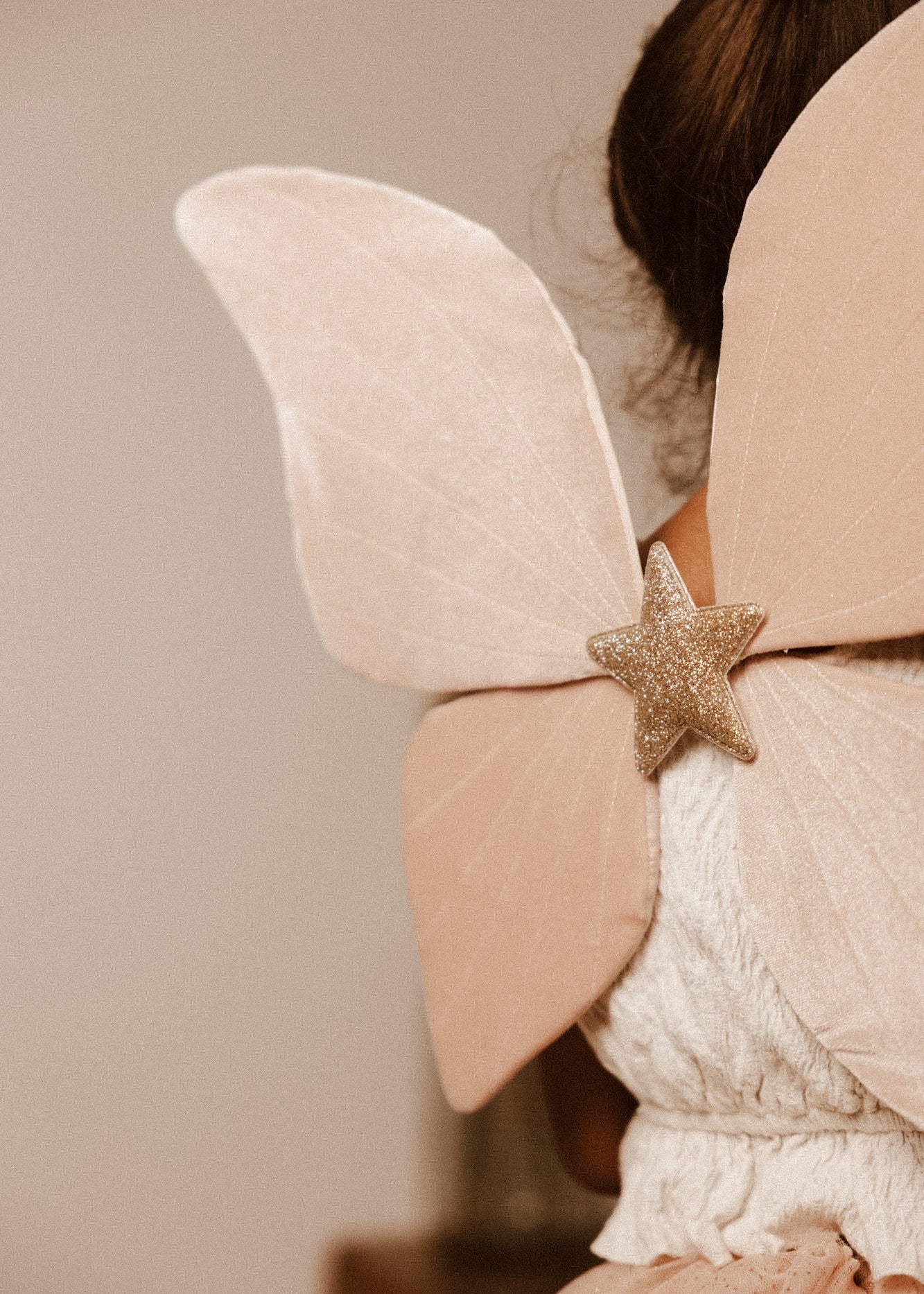 SET- THE PINK BUTTERFLY