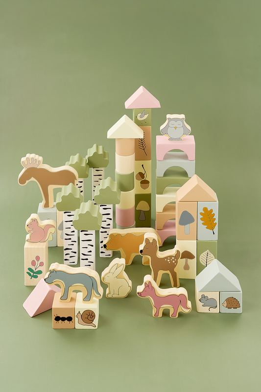 Kube ndërtimi “Forest” (50 pjesë)