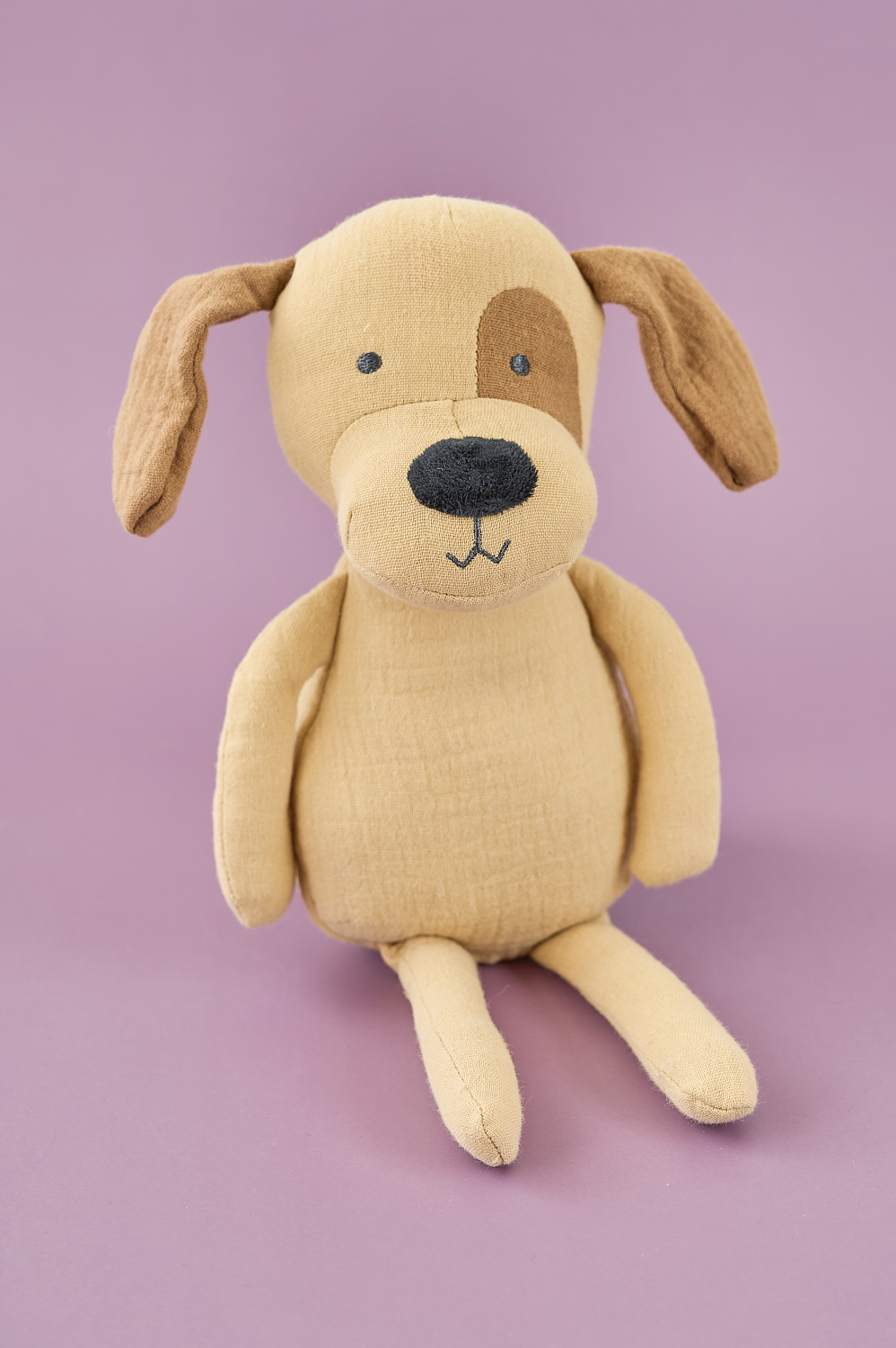 Buddy Puppy – Shoku më i Mirë për Përqafim