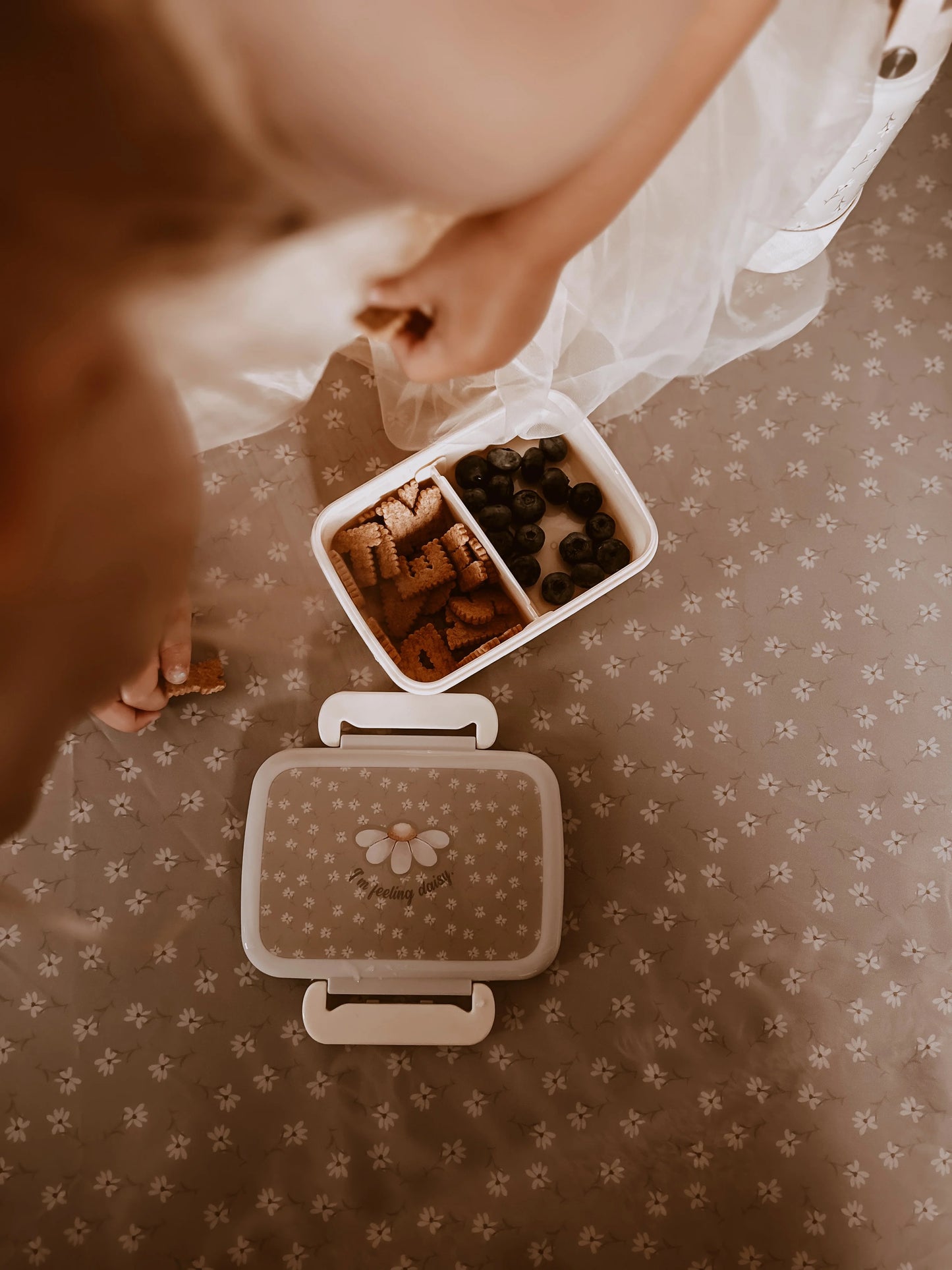 Lunch Box - Little Daisys